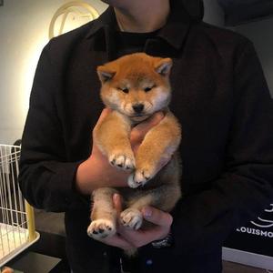 大黑逼操着舒服
