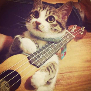 大黑逼操着舒服
